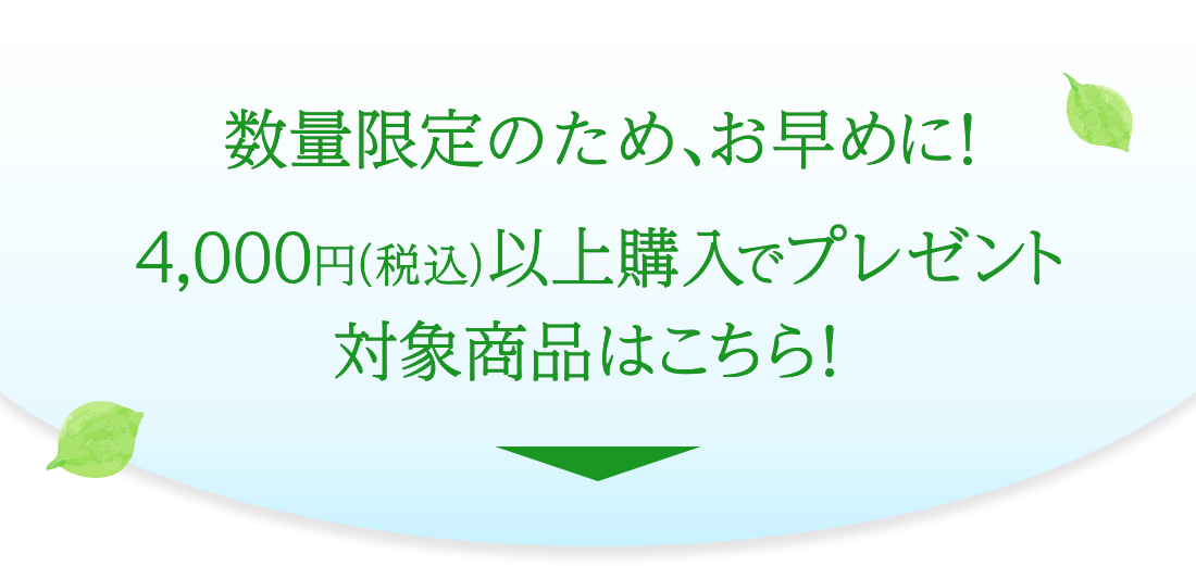 数量限定のため、お早めに！4,000円（税込）以上購入でプレゼント 対象商品はこちら！
